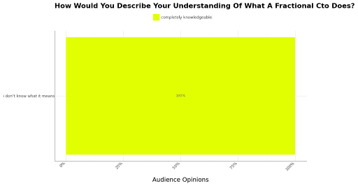 Chart - How Would You Describe Your Understanding of What a Fractional CTO Does?