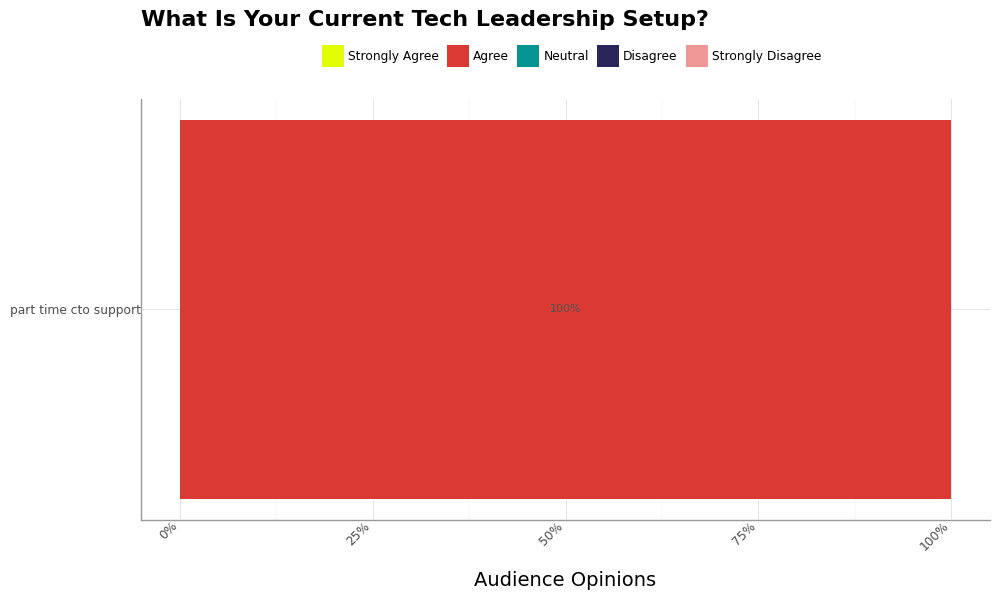 Chart - What Is Your Current Tech Leadership Setup?
